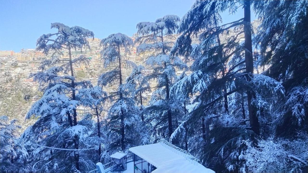 Mountain Zest-Simla Royale Near Mall Road-Free Pickup From Railway Station Simla Exterior photo